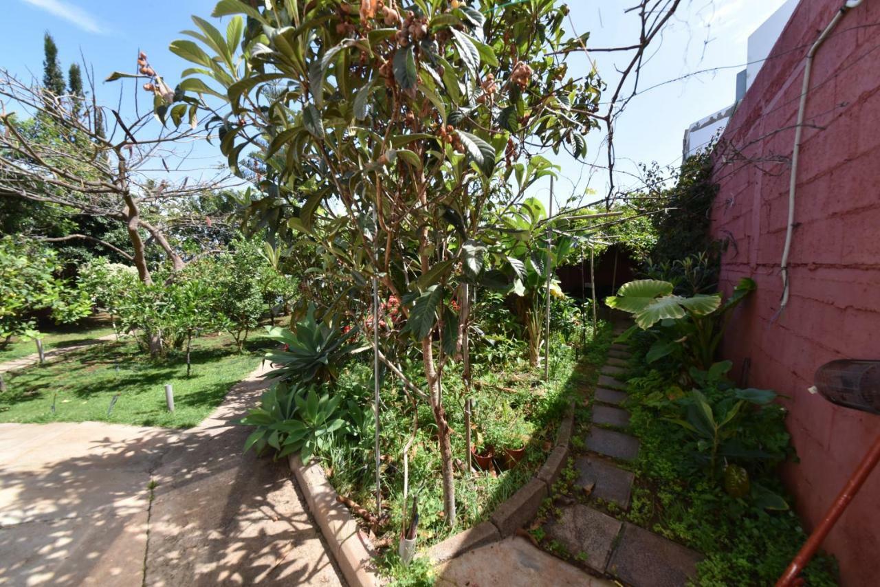 Gáldar Casa El Tonelero Con Jardin Y Piscina Privadaヴィラ エクステリア 写真