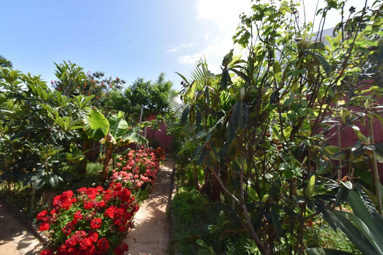 Gáldar Casa El Tonelero Con Jardin Y Piscina Privadaヴィラ エクステリア 写真
