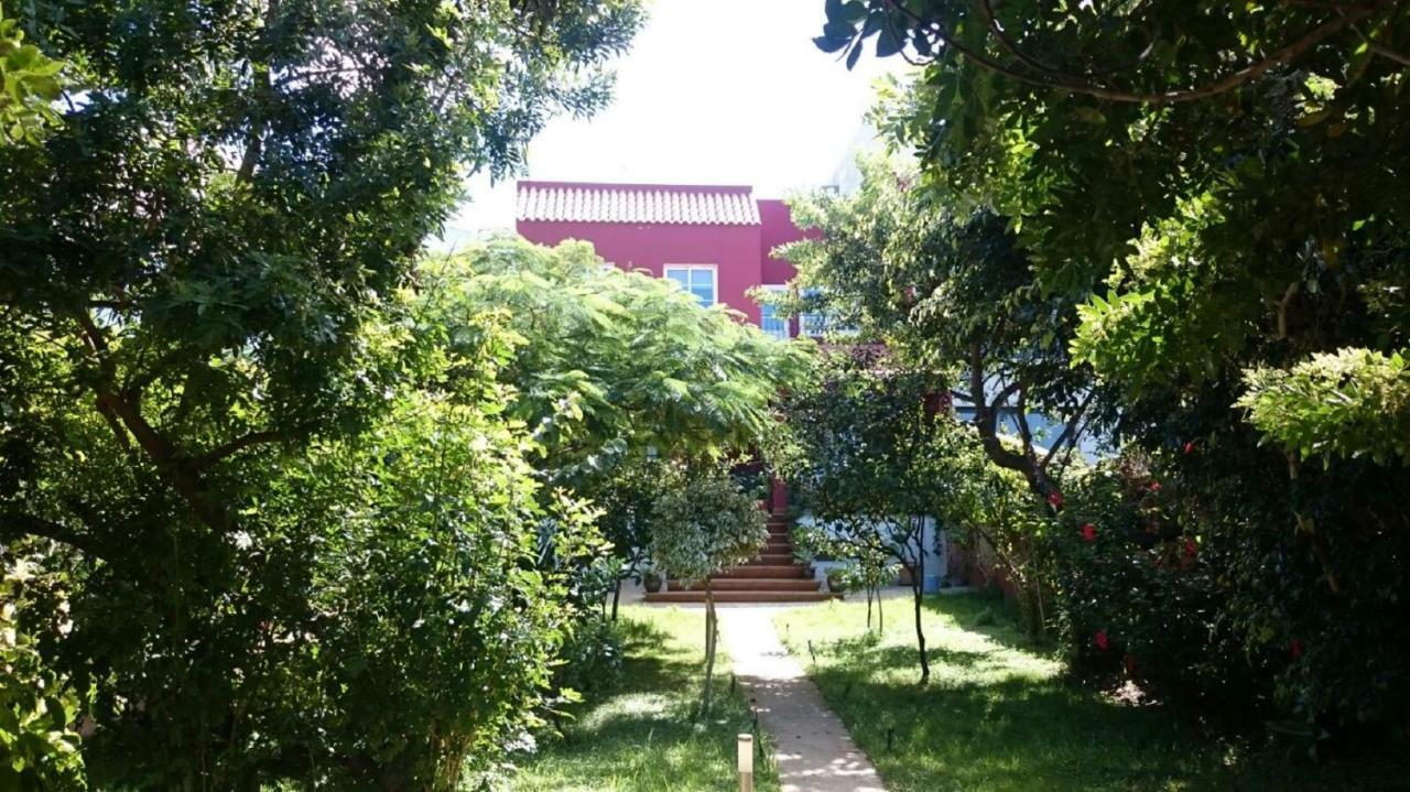 Gáldar Casa El Tonelero Con Jardin Y Piscina Privadaヴィラ エクステリア 写真